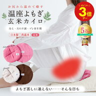 ＼本日ポイント3倍／【しんどいがいつもそばにある】月の半分以上不調なら よもぎ蒸し 玄米カイロ よもぎ…