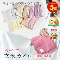 ＼15日はポイント5倍／【月の半分以上不調を感じたら】日本製 COCOFA 温活 玄米カイロ 全身用 大 【リブ…