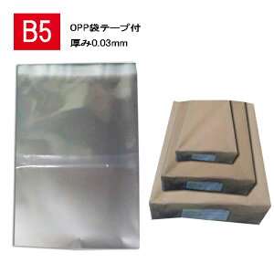 OPP  B5 e[vt 0.03y1000zB5TCY e[vt 195×270
