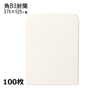 pB3 zCg  y100zp`B3 B3 ^ 傫ȕ 120gy񂹕iz