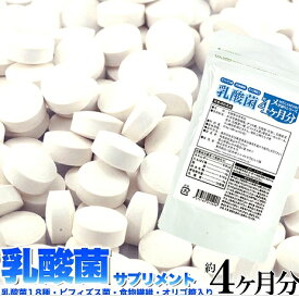 メガ盛り 乳酸菌サプリメントどっさり約4ヶ月分 全国送料無料　（メール便） 代引不可