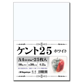 長門屋商店 【Amazon.co.jp 】高級ケント紙 〈ケント25〉 スケッチ・イラスト 漫画・コミック用紙 180kg A4 ホワイト