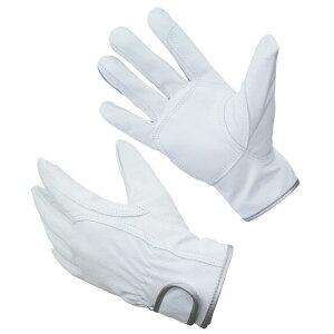 [ACE] Ǝ Rr{v }WbNe[v MTCY AG041