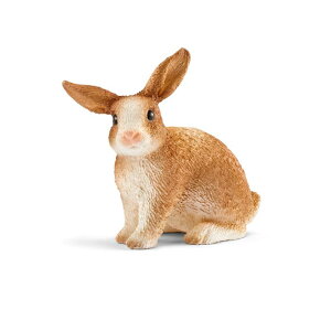 VCq t@[[h ETM 13827N