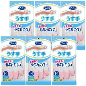 t@~[ [܂Ƃߔ] rj[  w拭 MTCY sN×6 Lb` H |  rj[ 