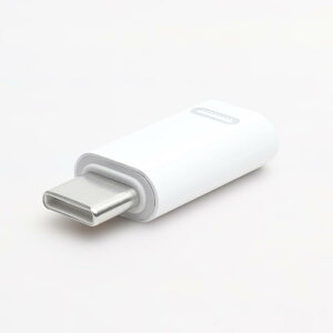Lightning to Type-C 変換アダプタ ライトニング から USB C に変換できるアダプタ 高速充電 USB-C Android iPhone15 急速充電 データ転送 iPad type c USB C タイプC (ホワイト), FS-
