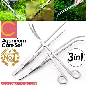 yVLO1ʊl ]4.73y  zcocoiine  g~O sZbg nT~ 3_Zbg  ANAEnT~  ANAE  n[oE O Xe
