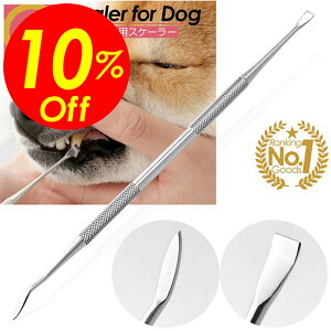 yyVX[p[SALEΏۏiz艿i|Cg2{&N[|Izybgp XP[[  Ύ  L lR  S oPA  p Lp wXPA f^