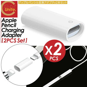 �y�������ȃZ�b�g�̔��I�v���[���g�L�����y�[�����I���������I �zApple Pencil �[�d �ϊ��A�_�v�^ 2�{�Z�b�g�A�b�v���y���V�� �ϊ� USB USB�P�[�u�� USB�P�[�u���ϊ��A�_�v�^ �[�d�P�[�u�� �P�[