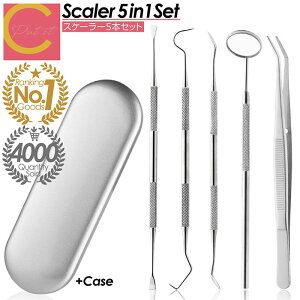 yVLO1 ]4.50 ݌v̔4000˔jy v[gLy[I1000~|bLI  zXP[[ 5_Zbg f^PA P[Xt jp Ύ C