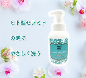 RRC tFCX  {fB\[v Sg\[v SgVv[ A^Cv qg^Z~h  A~m_ h q  fP[g][