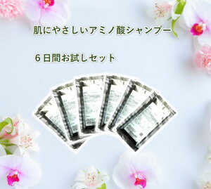 {S200~yA~m_ Vv[z RRC v~A Vv[y6ԂZbgz A~m_Vv[ _ _Ό A~m_ w}` Vv[