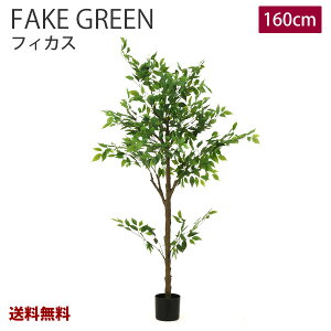 yVizyzFBM-51@tFCNO[@tBJX@160cm@WCg@ϗtA@ԁ@CeA@ lHϗtA@^@JtF@ց@rO@@Vz@JƁ@JX