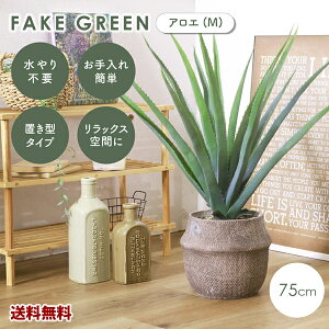 【新商品】【送料無料】FBM-60 フェイクグリーン アロエ M セメントポット 観葉植物 ボタニカル 造花 おしゃれ  インテリア ディスプレイ 癒し リラックス 人工観葉植物
