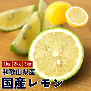 yz@Y@1kg 2kg 3kg@m[bNX@X{@}C[@̍@Y@a̎RY@O[@CG[@ʕ@s