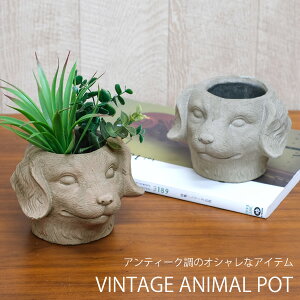 yVizCN17@Be[WAj}|bgD@hbO@@ʁ@@Jo[@v^[@K[fjO@@A@AeB[N