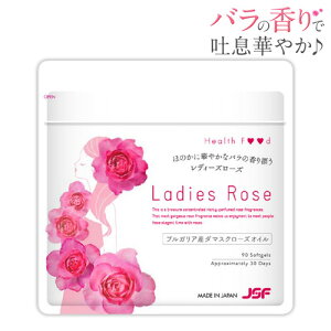 yzG`Pbg΍Tv fB[Y[Y1(90)[30]_}XN[YICzIo̍œf₩Iy[YTv/ލ/VsjIGLX/G`Pbg