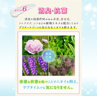 シークレットレディさらふわ:1個(100ml)【アンダーヘア用トリートメント/引き締め/保湿/消臭/抗菌/臭いケア】
