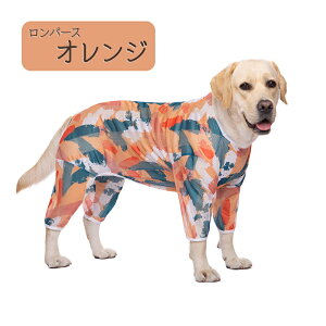 ʕ bVp[X ^Ngbv p[X ^Ngbv ё΍   hbOEFA ^ ^  y E₷ ʋC Xgb`bV  bV  XL 