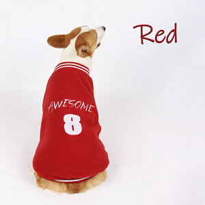 X^W X^W X^WAWp[ AE^[ 2024 ~ h ~ ~ R[M[ ̕ H~ hbOEFA ^ ^ IV JWA AEghA t[X nt  p