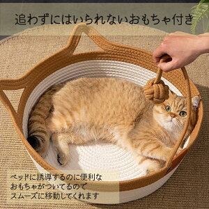 Ltybgxbh }bg LfUC Lbgxbh L  ybgxbh JS  oXPbg ܂Ƃ bNX xbh ~` ی^ ybgnEX p Rbg [v t