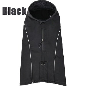 Vo  hWPbg h WPbg R[g  h ~ ~ Č ̕ H~ hbOEFA ^ ^ hbOEFA t[X  ^ uh[ R[M