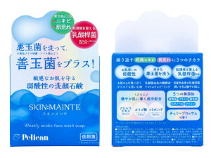 y܂ƂߔzXLe Ό `F[ubT̍ 80g