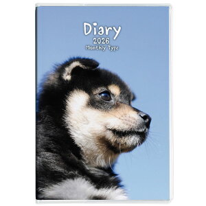 yiJoVzm[g_CA[2026^A6^2蒠 _CA[ d