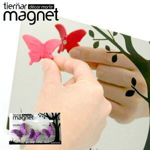 `E`}Olbg 3tiernar magnetmny|Cg10{zytAz