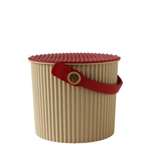 IjEbeB miniTCY 4bg WtoPc XJWirA Ic oPc r Xc[ ݑ ~j 4bg  { [ AEghA   ǂ RpN