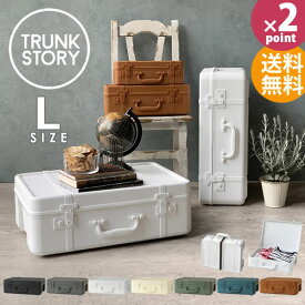 トランクストーリー TRUNK STORY マルチディスプレイ収納 L 収納ボックス フタ付き おしゃれ プラスチック 持ち手 収納ケース 小物 スタッキング リビング収納 オシャレ 収納 インテリア コスメボックス sceltevie セルテヴィエ [八幡化成] 【フラリア】【ポイント2倍】