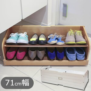 ʔ[{bNX V[YbN 71cm GKS-710mIX}bNny|Cg2{zytAz[PNG02]
