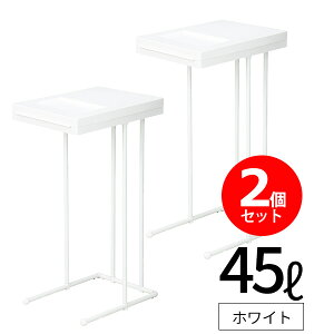 �S�~�� [���j�[�h���ʃ|���܃z���_�[L] 45L 45���b�g�� �P�i 2�Z�b�g �S�~�܃z���_�[ �ӂ��t�� �����t�� ��J�� �J�����܂� �p�^ �c�^ �y�_���Ȃ� ���o���₷�� �y�� �g���ȒP ���������