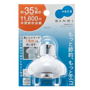Lb`V[ PM252-10 [SANEI] y|Cg10{zytAz
