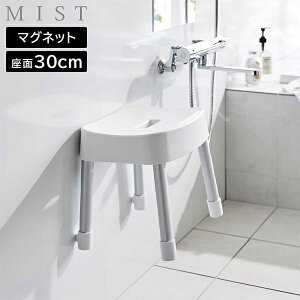 }OlbgCCX ~Xg SH30 MIST [R] 30cm zCg ubN 1723 1724 C  oX[ ֎q  oX`FA C֎q }Olbg ǖ  [    yt