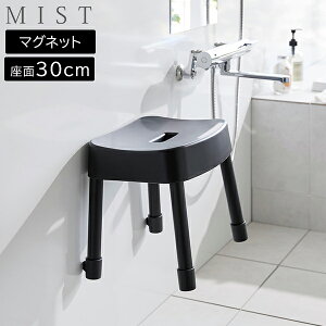 }OlbgCCX ~Xg SH30 MIST [R] 30cm zCg ubN 1723 1724 C  oX[ ֎q  oX`FA C֎q }Olbg ǖ  [    yt