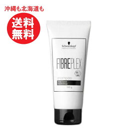 シュワルツコフ ファイバープレックス トリートメントN 100g　ブリーチのダメージによる切れ毛　枝毛対策 サロン専売　ホームケア 美容室 サロン専売品 美容院 ヘアケア ダメージケア ブリーチ カラーケア 色持ち 送料無料