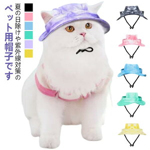 p Xq ybgp nbg  Rt Εt Lp Lbv ^ ^ MǑ΍ UVJbg   o U AEghA s TCY߉\ 