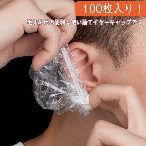 ĝ Lbv 100 C[Lbv Jo[ ѐ  wAJ[ Lbv ی t[TCY  jp h Lk 