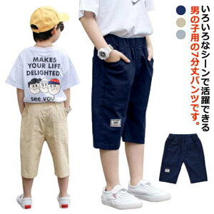 7pc j̎q n[tpc Ȗpc WjA {gX q ĕ i q  ʋC 悯 EGXgS  n JWA {gX ʉ ʊw 110 120 130 140 150 160 1