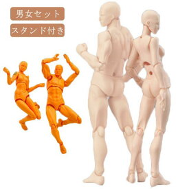 キャラクター 素体 フィギュア 男性 女性 男女セット 2点 スタンド付き 肌色 オレンジ グレー 作画 漫画 練習 モデル人形 ポージング人形 デッサンモデル デッサン人形 モデル人形 送料無料