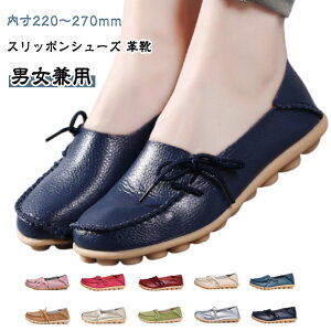 Xb| fB[X Xb|V[Y ؂ tC HC vC _炩 ₷ ~ }^jeBV[Y ɂ _炩 U[ l  }} n  Y V