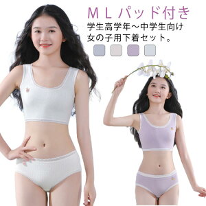 pbht uW[ V[c WjA ㉺Zbg Zbg LbY q uW[ Jbvt l ̎q pc  Ci[ A_[EFA WjAu X|[cu w 