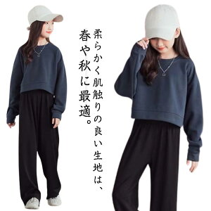 W[W LbY ̎q ㉺ Zbg ZbgAbv [EFA g[i[ XEFbg XGbg LbY q w WjA ̎q X|[c ъԊwZ X|[c EFA ^ j