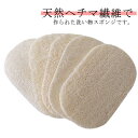 ヘチマたわし ヘチマスポンジ 5枚セット 食器ブラシ 皿洗い 食器洗い キッチン用品 手を傷つけない 油汚れがつかない 天然へちま 台所用 家庭用 送料無料