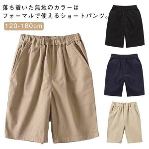  Y{ n Y{ n[tpc w wY{ j j̎q jq q p LbY WjA 120cm-180cm XN[ EGA tH[} XN[pc w wN w ʉʊw 