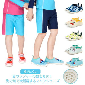 }V[Y LbY qC p }X|[c ANAV[Y r[`V[Y ̎q j̎q AEghA v[ l W[  PKh~  y _炩 V Wj