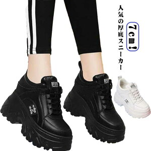  Xj[J[ fB[X y PU h gAbv7cm EH[LOV[Y L Xj[J[ _bhXj[J[ rXj[J[ C ʋ ʊw V[Y JWA l  [Jb