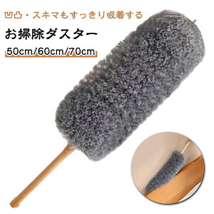 ͂ nfBbv  50cm 60cm 70cm  nfB ق zR  g₷ |pi nfBCp[ ֗  zR ֗ObY Еt zR 􂦂  