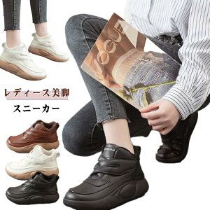 Xj[J[ fB[X  Xj[J[ nCJbgXj[J[ RtH[gV[Y l  n   JWA O EH[LOV[Y JWA ʋC